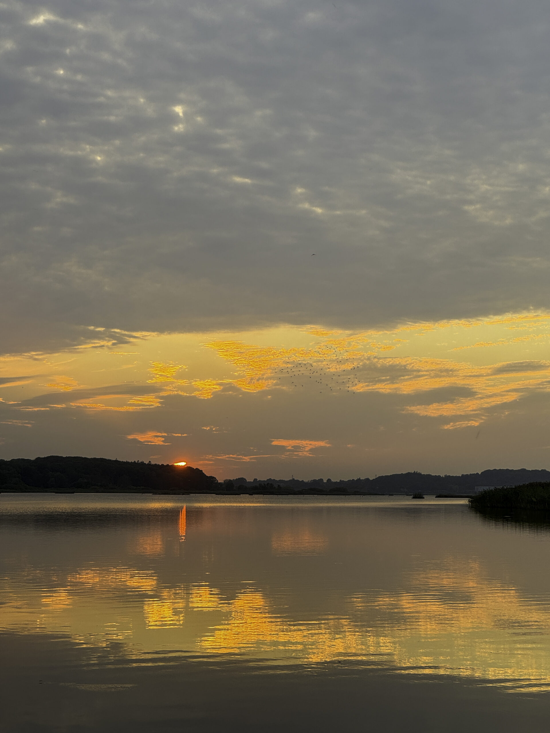 You are currently viewing August 2025