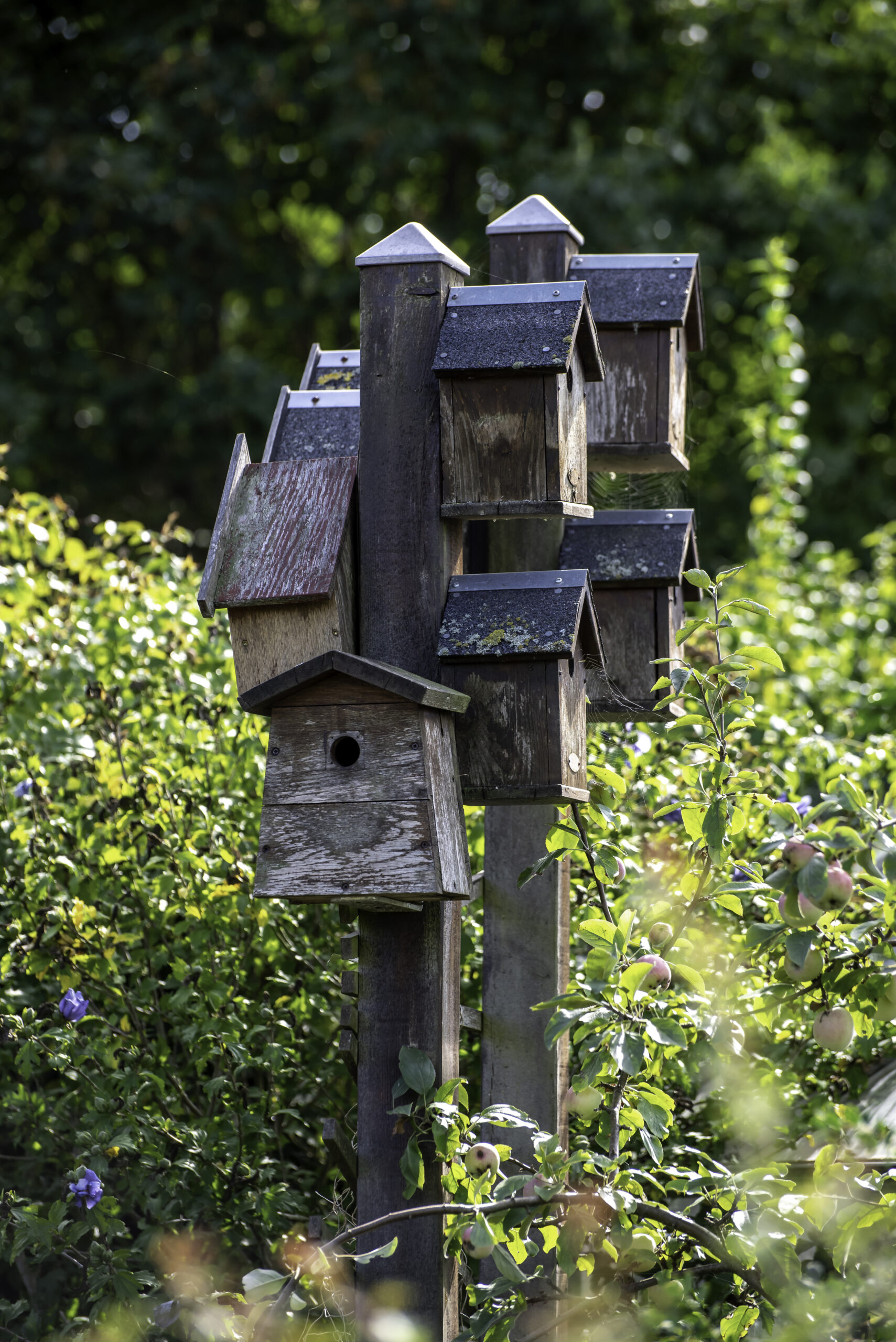 You are currently viewing Oktober nyhedsbrev