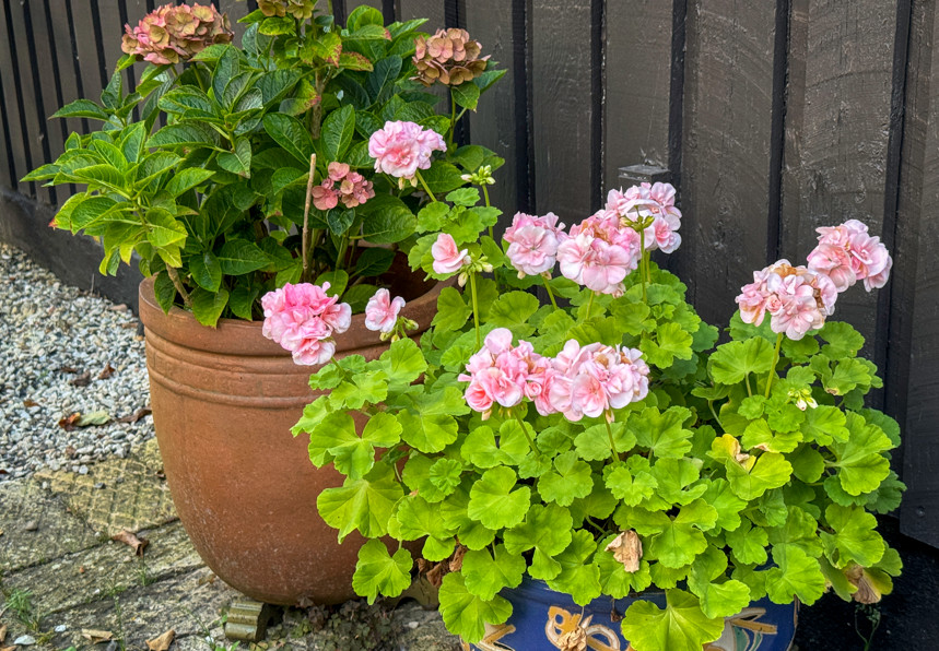 You are currently viewing April 2025