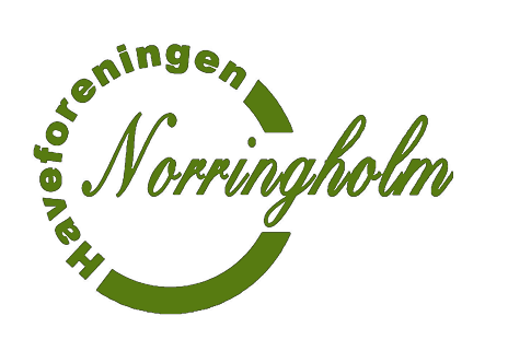HF Norringholm